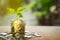 Plant Growing In Savings Coins With Green Bokeh Background, Business Finance and Money concept