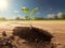 Plant growing in soil in the barren land