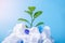 Plant grows among plastic garbage. Bottles and bags on blue background. Environmental protection and waste sorting