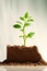 plant growth, as a vibrant sapling emerges from the dirt on a flat surface.