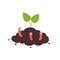 Plant growth from soil with worms, vector illustration