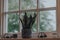 Plant in industrial style cement pot and tea light holders on a windowsill at home, rain on the window glass