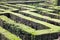 Plant of Labyrinth at Parc del Laberint de Horta in Barcelona