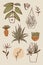 Plant lover stickers plants gardening cozy bundle summer elements collection