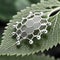 Plant nanobionics . Nano structures on surface of leaf. AI Generated Image