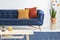 Plant next to blue couch with orange cushions in living room interior with wooden table. Real photo with blurred background