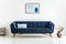 Plant next to blue settee with cushion in white minimal living room interior with poster. Real photo