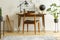 Plant next to chair and desk with lamp typewriter and globe in classic workspace interior. Real photo