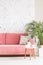 Plant next to pink sofa in patterned living room interior with w
