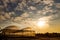 Plant nurseries in the sunset background