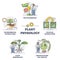 Plant physiology five key areas study and research outline collection set