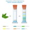 Plant pigments separated by paper chromatography based on solubility and migration on paper