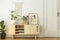 Plant and poster on wooden cupboard in retro living room interior with white door. Real photo