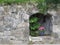 Plant pot with flowering flowers in a niche of a stone rock wall