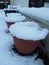 Plant pots covered in snow