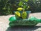 Plant pots from old bottles containing betel plants