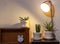 Plant pots of Sansevieria plant  or snake plant on night table with lamp and clock  .air purifying plant