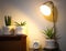 Plant pots of Sansevieria plant  or snake plant on night table with lamp and clock  .air purifying plant