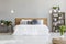 Plant on pouf in bright bedroom interior with pillows on bed wit