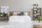 Plant on pouf in bright bedroom interior with pillows on white b