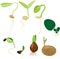 Plant reproduction set