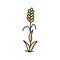 plant ripe yellow wheat color icon vector illustration