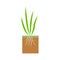Plant with roots. Lawn aeration stage illustration. Lawn grass.