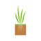 Plant with roots. Lawn aeration stage illustration. Lawn grass.