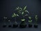 Plant\\\'s growth process as it responds to scientific experimentation. AI Generated