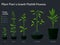 Plant\\\'s growth process as it responds to scientific experimentation. AI Generated