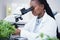 Plant science, microscope and black woman in a laboratory with sustainability and botany research. Leaf growth, study