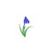 Plant scilla. Siberian Squill Scilla siberica . spring flower with leaves and stem