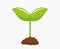 Plant seedling growing from soil in the garden icon