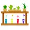 Plant shelf. Various kinds of plants. Cactus. Flower rack. Vector illustration