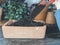 Plant shovel with growing media or soil to fill up a sowing pan