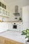 Plant in simple white kitchen interior with silver cooker hood.