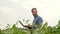 A plant specialist, checking the field soy a background of greenery. Soybean field