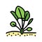plant spinach growing color icon vector illustration