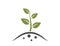 Plant sprout icon. planting, seedling, agriculture and farming symbol. isolated vector image