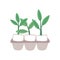 Plant sprouts in eggshell flat vector illustration. Greenery, houseplant sprigs. Gardening, horticulture, plant breeding