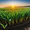 plant sprouts from the ground at sunset with the sun in the background and few