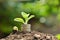 Plant and stack coins feeling success finance, nature background