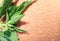 Plant stinging nettle lying on irritated human skin covered with small wrinkles ,cracks and causes a burn with blisters