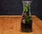Plant terrarium in the vine bottle