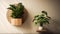 a plant thriving in a wooden pot, creating a vertical gardening background, offering an ideal interior design backdrop