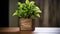 a plant thriving in a wooden pot, creating a vertical gardening background, offering an ideal interior design backdrop