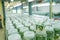 Plant tissue culture in the laboratory