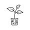 Plant transplants with roots growing in glass icon