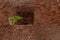 Plant the tree in ground soil hole pit for help green earth with space for text