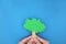 Plant a tree, reforestation, csr, forest watershed concept. Young male hands holding a tree in blue background.